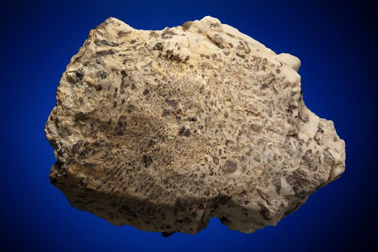 MICROCLINE with QUARTZ var. Smoky