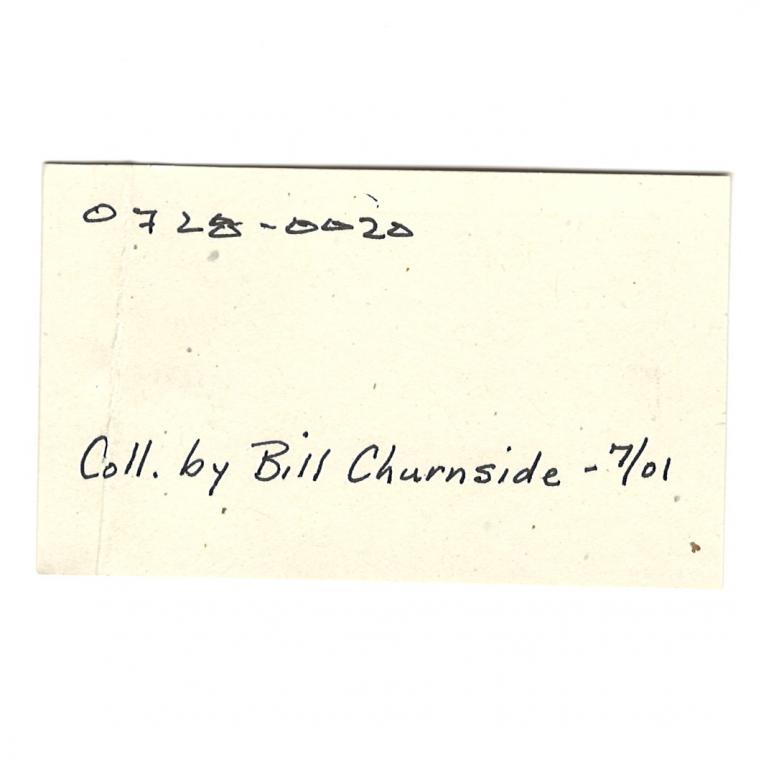 PHENAKITE on QUARTZ var. Smoky