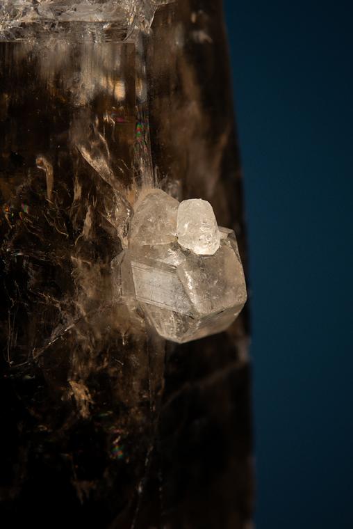 PHENAKITE on QUARTZ var. Smoky