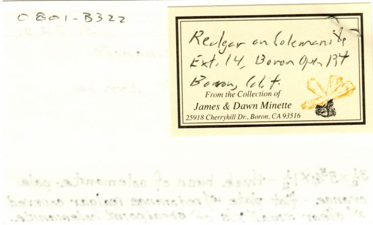 COLEMANITE with REALGAR