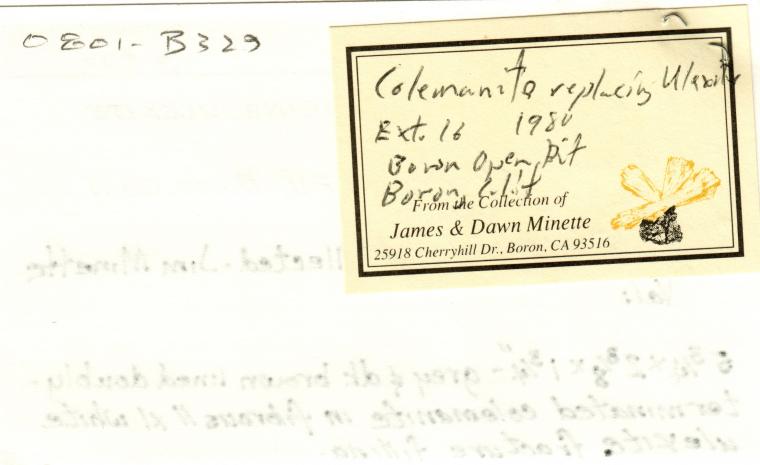 ULEXITE with COLEMANITE