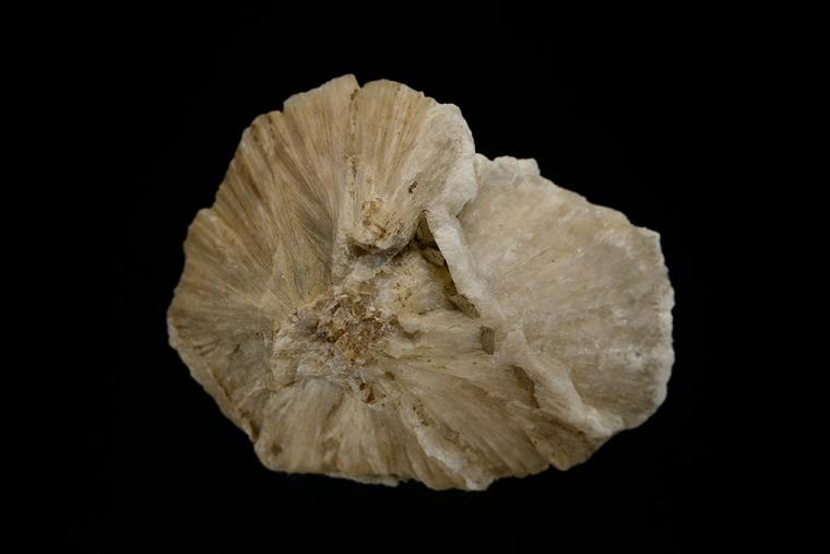 ULEXITE 