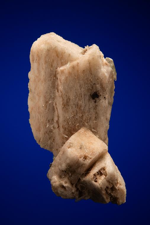 ALLANITE-(Ce) on MICROCLINE (Carlsbad twin)