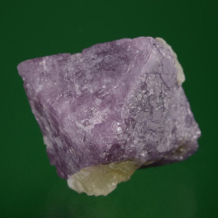 SPINEL