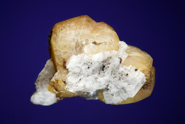 EPIDIDYMITE in CATAPLEIITE