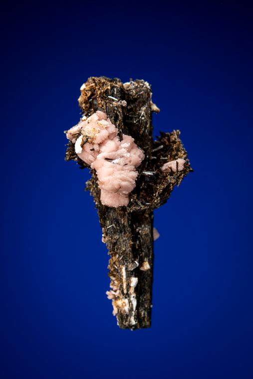 SERANDITE and ASTROPHYLLITE on AEGIRINE