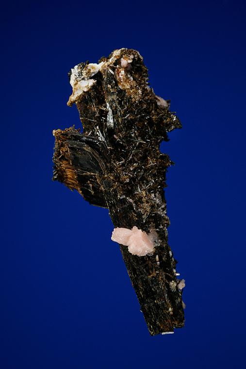 SERANDITE and ASTROPHYLLITE on AEGIRINE