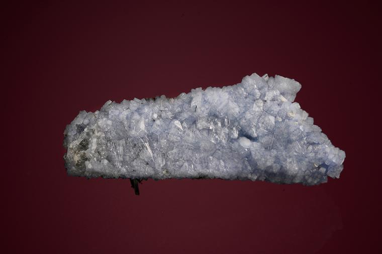 CARLETONITE on PECTOLITE