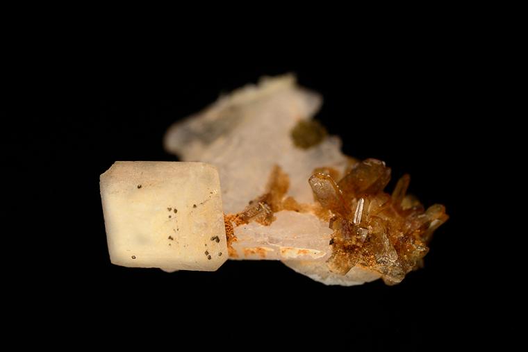 WARDITE on EOSPHORITE and ROSCHERITE