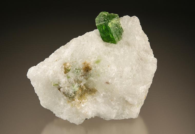 PARGASITE