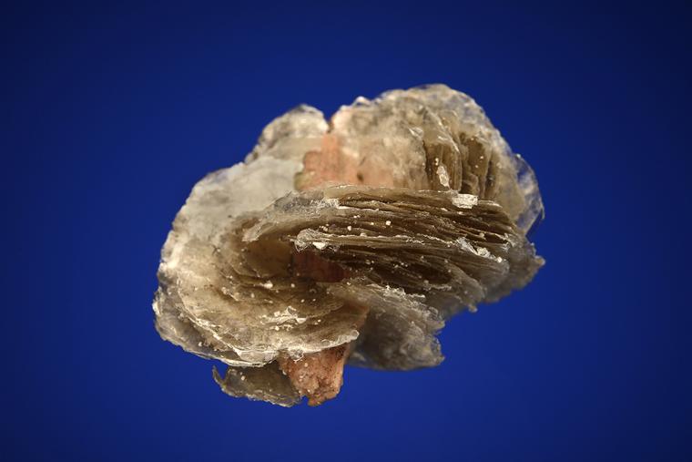 SERANDITE on POLYLITHIONITE