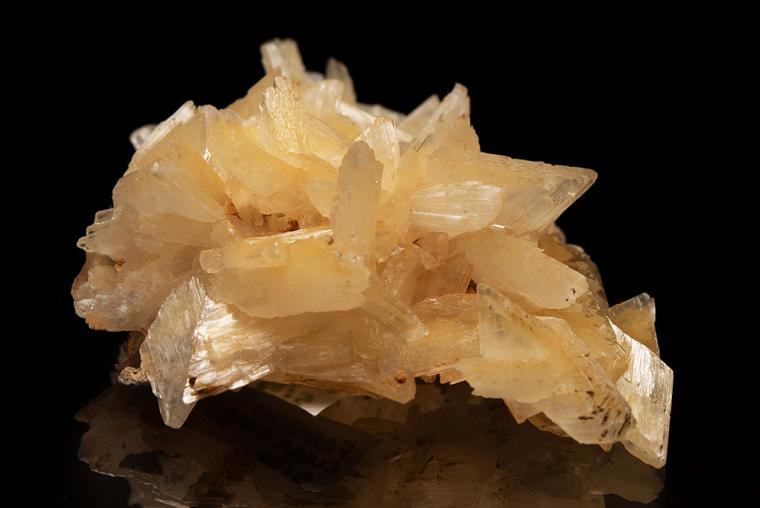 GYPSUM