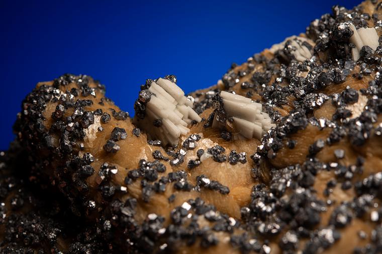 SIDERITE with GALENA and BARITE