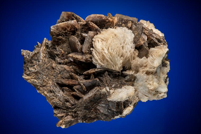 AXINITE with ALBITE var. Cleavelandite