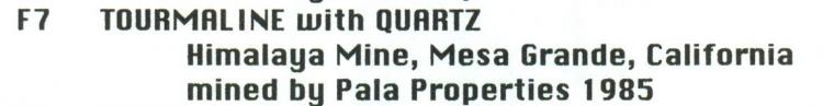 ELBAITE with QUARTZ