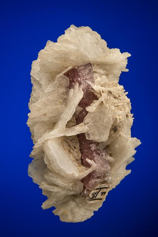 ALBITE var. Cleavelandite on APATITE