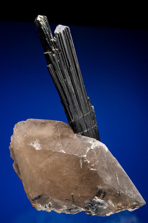 Tourmaline on QUARTZ var. Smoky (repaired)