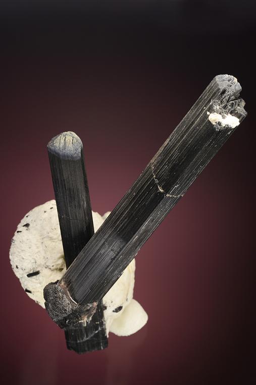 Tourmaline on ALBITE var. Cleavelandite