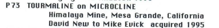 ELBAITE on MICROCLINE