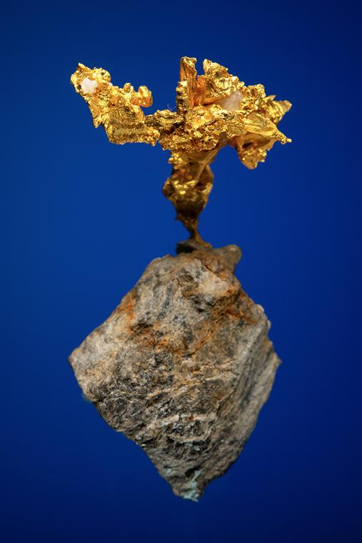 GOLD (repaired) [0.455 ozt]