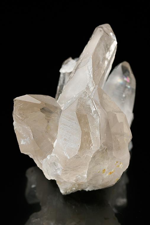 QUARTZ (Japan-law twin)