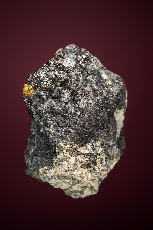 HESSITE with PETZITE, COLORADOITE and GOLD
