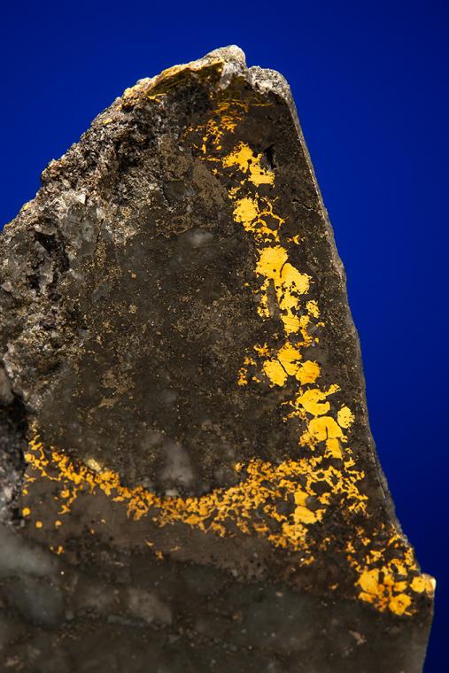 GOLD with HESSITE, PETZITE and PYRITE