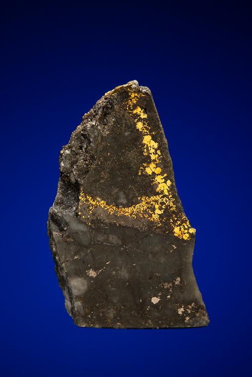 GOLD with HESSITE, PETZITE and PYRITE