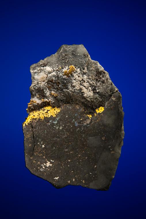 GOLD with HESSITE, PETZITE and PYRITE