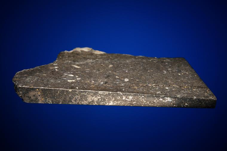 GOLD with HESSITE, PETZITE and PYRITE