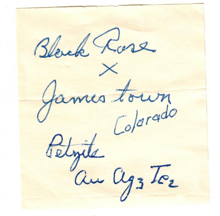 COLORADOITE with PETZITE and CALAVERITE