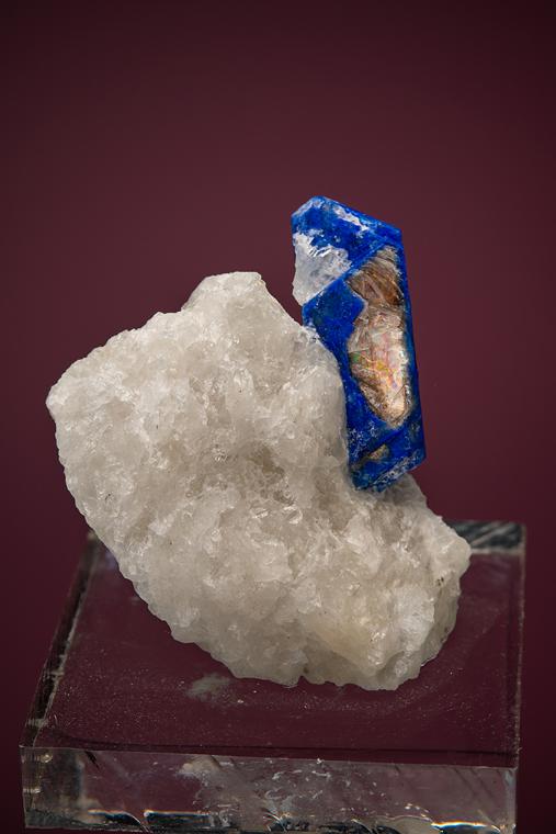 LAZURITE var. Lapis Lazuli on PHLOGOPITE