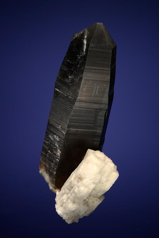 QUARTZ var. Smoky with ALBITE