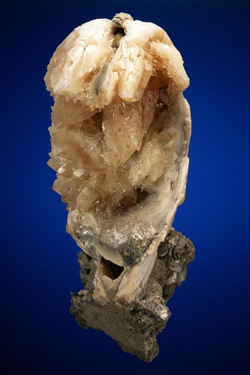 CALCITE in Shell Fossil (Mercenaria Permagna)