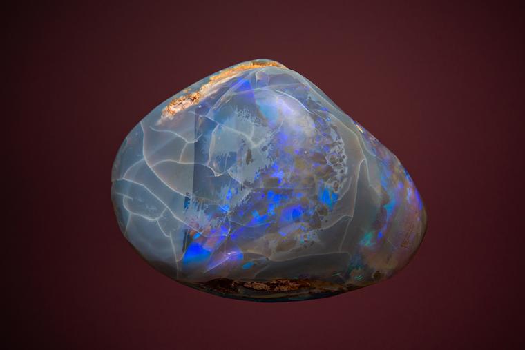 OPAL after Clam