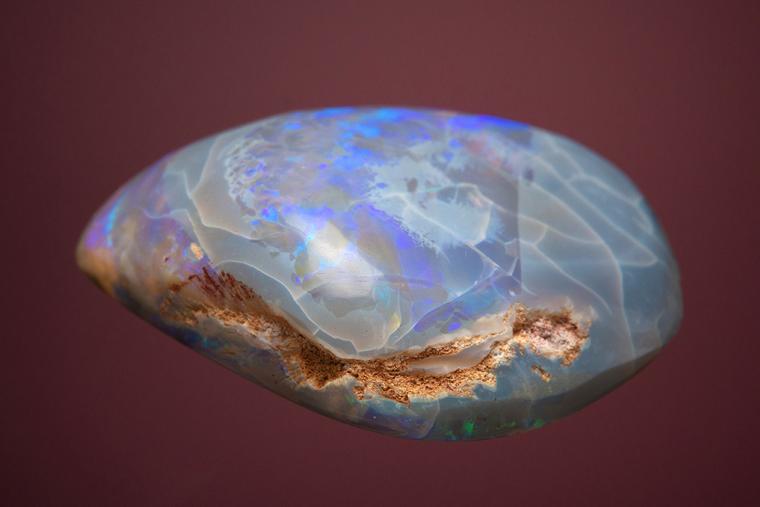 OPAL after Clam