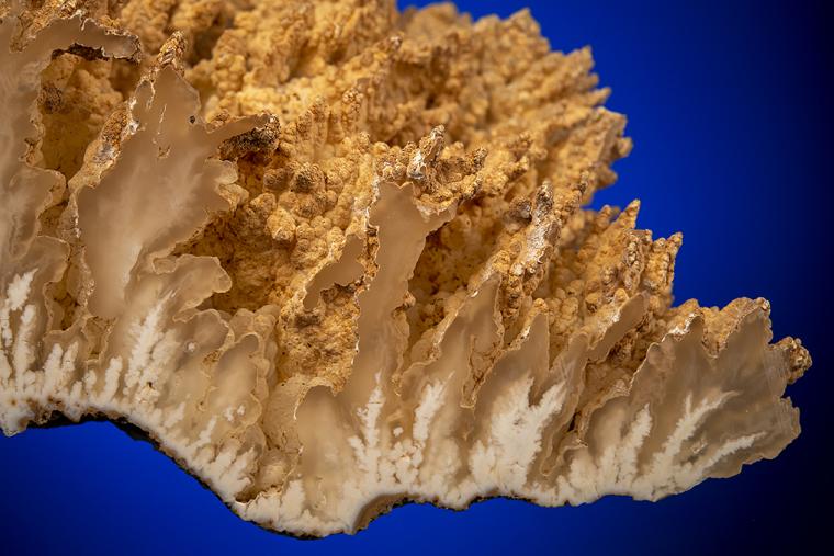 QUARTZ var. Angel Wing Agate