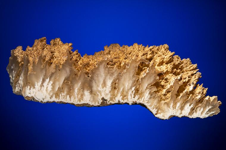 QUARTZ var. Angel Wing Agate