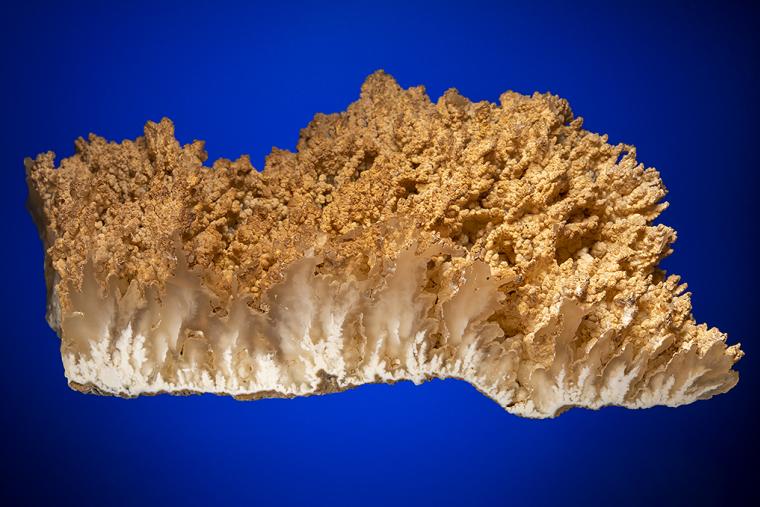 QUARTZ var. Angel Wing Agate