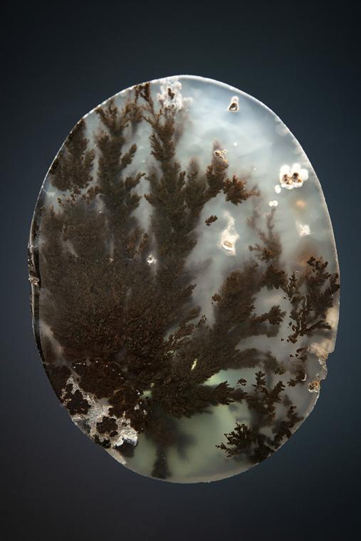 QUARTZ var. Plume Agate