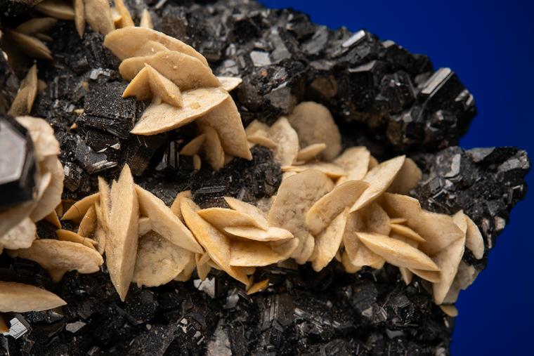 SIDERITE ON SPHALERITE