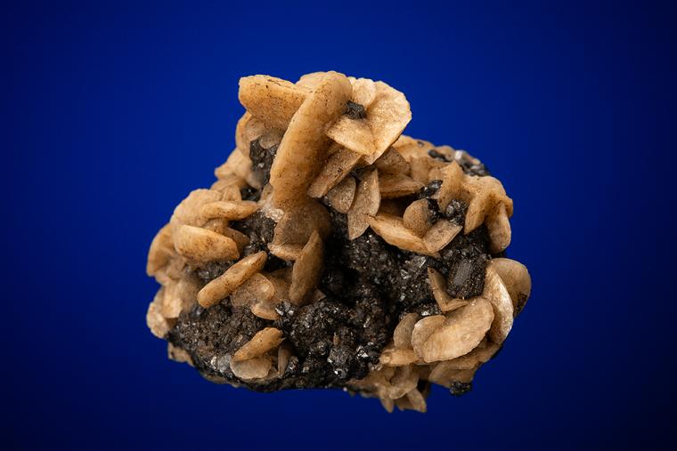SIDERITE on SPHALERITE