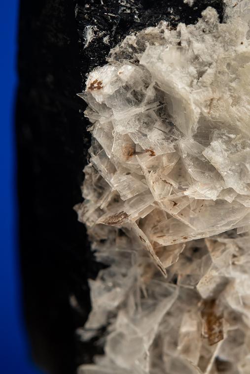 BERTRANDITE on QUARTZ var. Smoky