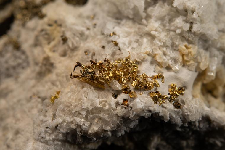 GOLD with PYRITE on QUARTZ