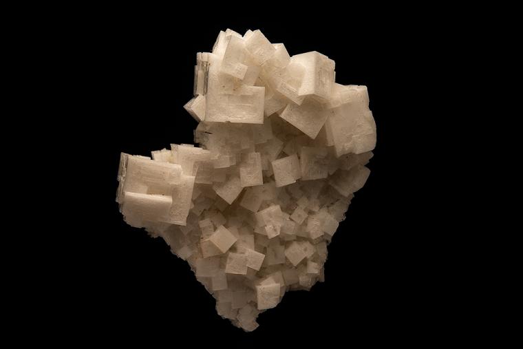 HALITE