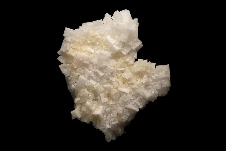 HALITE