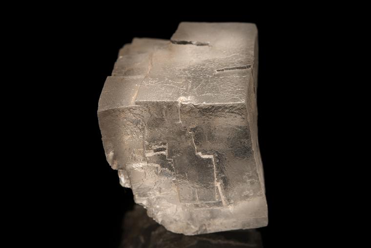 HALITE