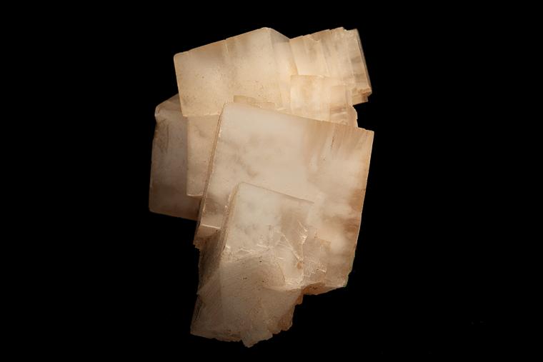 HALITE