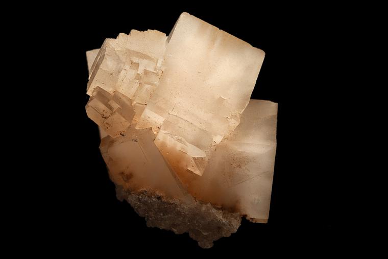 HALITE