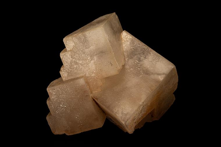 HALITE